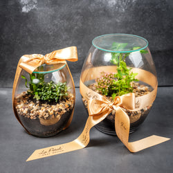 Terrarium